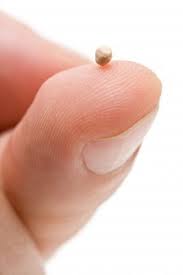 mustard seed